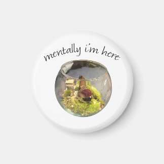 borb planetarium マグネット