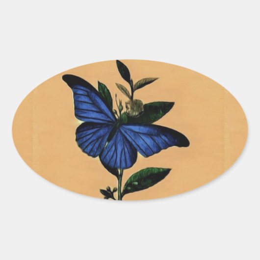 Borboleta Azul 楕円形シール (正面)