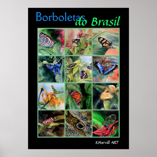 Borboletas do Brasil Poster ポスター (正面)