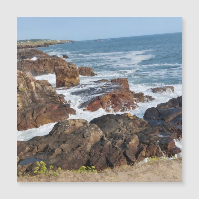 Bord de mer français en Vendée (正面)