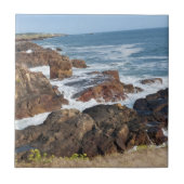 Bord de mer français en Vendée タイル (正面)