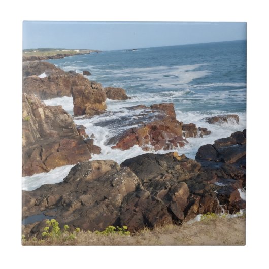 Bord de mer français en Vendée タイル (正面)