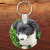 BORDER COLLIE キーホルダー (正面)