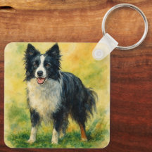 Border Collie