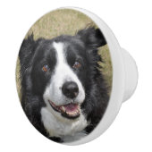Border collie セラミックノブ (右)