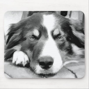 BORDER COLLIE マウスパッド