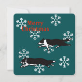 Border collie Christmas card カード (正面)
