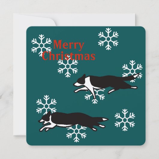 Border collie Christmas card カード (正面)