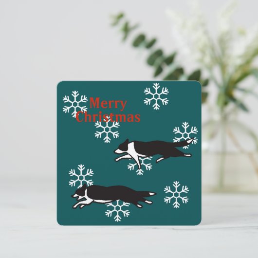 Border collie Christmas card カード (スタンド正面)