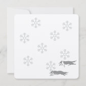 Border collie Christmas card カード (裏面)