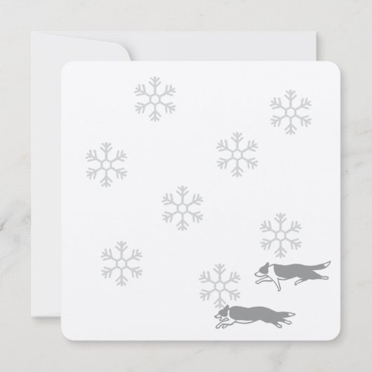 Border collie Christmas card カード (裏面)