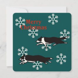 Border collie Christmas card カード