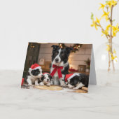 Border Collie Christmas Cookie Card カード (黄色い花)