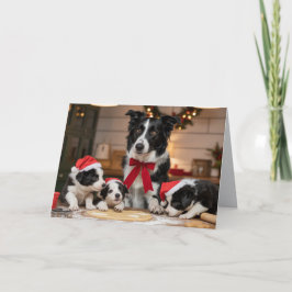 Border Collie Christmas Cookie Card カード