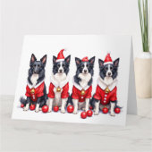 Border Collie Christmas Dress Santa Hat カード (正面)