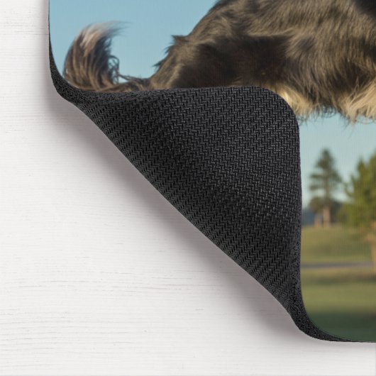 Border Collie Disc Golf Mousepad マウスパッド (コーナー)