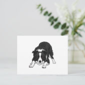 Border Collie Dog シーズンポストカード (スタンド正面)