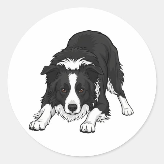 Border Collie Dog ラウンドシール (正面)