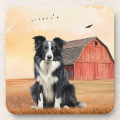Border Collie Dog and Red Barn Ranch コースター (正面)