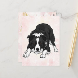 Border Collie Dog Greeting Card ポストカード