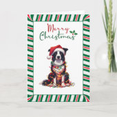 Border Collie Dog Wrapped In Christmas Light カード (正面)