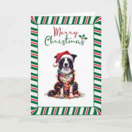 Border Collie Dog Wrapped In Christmas Light カード