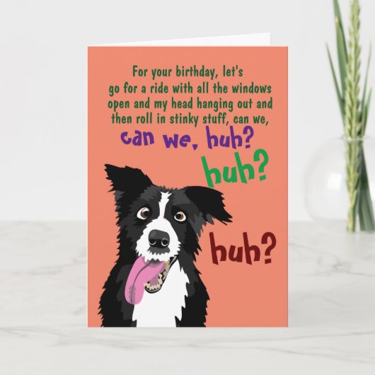 Border Collie Funny Birthday Card for Dog Owner   カード (正面)
