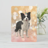 Border Collie Sheepdog 招待状 (スタンド正面)