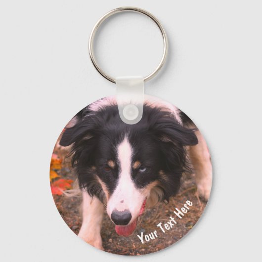 Border Collie Stare Dog Personalized キーホルダー (正面)