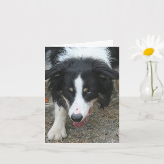 Border Collie Stare Dog Personalized Note カード (小さな植物)