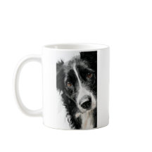 Border collie watercolor portrait