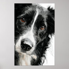 Border collie watercolor portrait ポスター