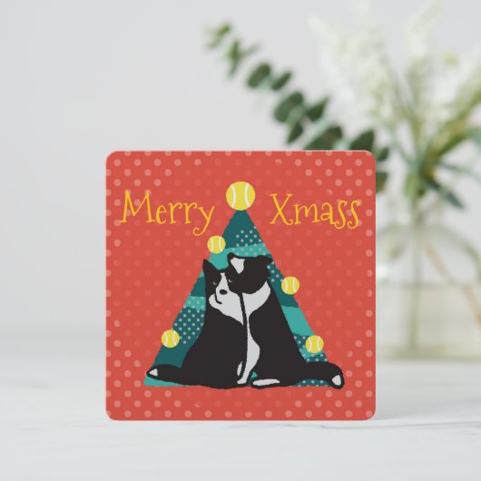 Border collies get a tree with balls カード (スタンド正面)