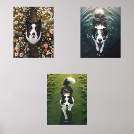 BorderCollie -プリントセット (正面)