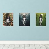 BorderCollie -プリントセット (ウッドフロア)