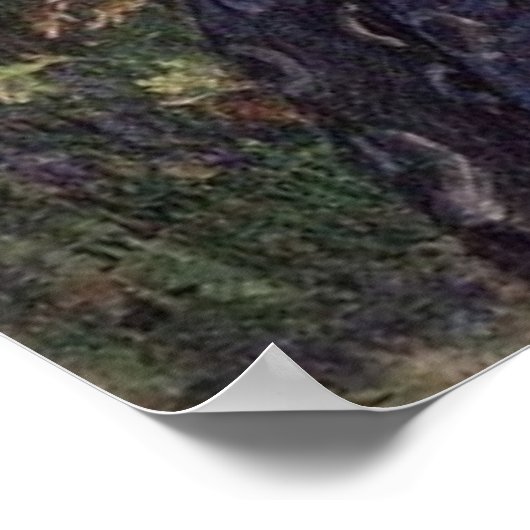 Boreasキャンバス印刷 ポスター (角)