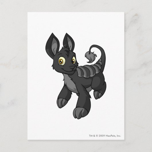 Boriの影 ポストカード (正面)