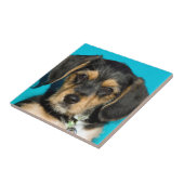 Borkieのかわいい子犬 タイル (側面)