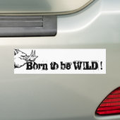 Born to be WILD ! バンパーステッカー (車上)