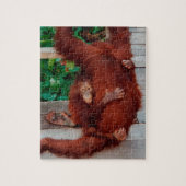 Borneo orangutan ジグソーパズル (縦)
