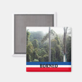 Borneo Rainforest Jungle Scenic Souvenir Photo マグネット (正面/裏面)