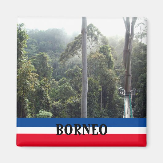 Borneo Rainforest Jungle Scenic Souvenir Photo マグネット (正面)