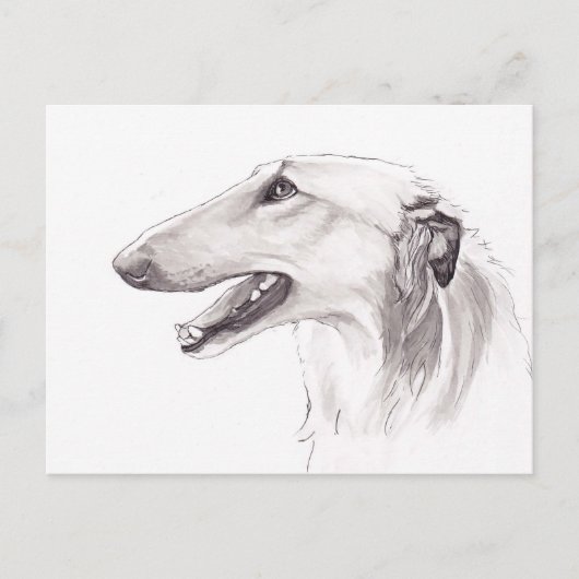 Borzoi Dog Art Ink Head Profileはがき ポストカード (正面)