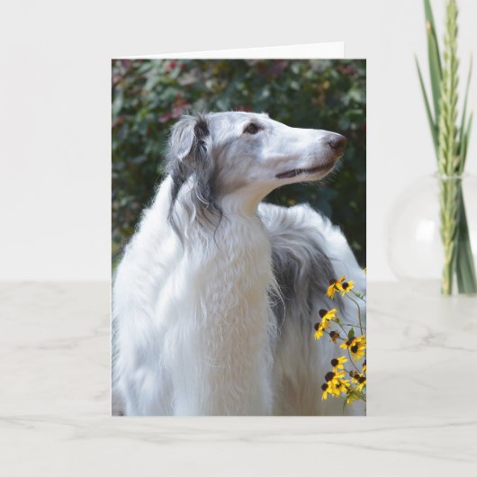 Borzoi Wolfhoundロシアの Dog Artフォトカード カード (正面)