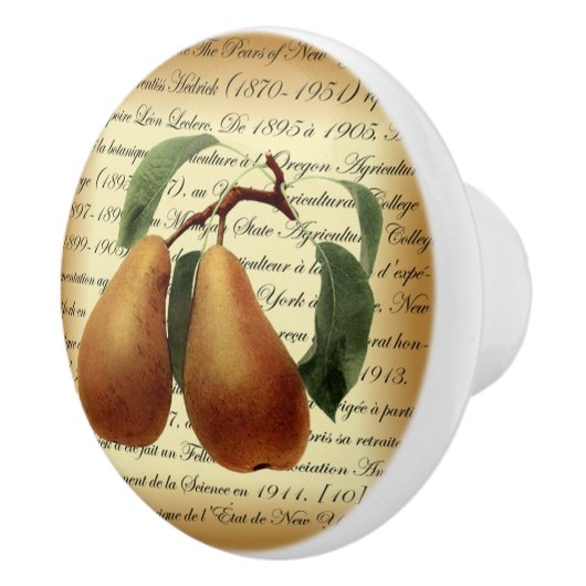 Bosc Pears~レオンレクレール~ユリシーズ・プレントス・ヘドリック~ セラミックノブ (右)