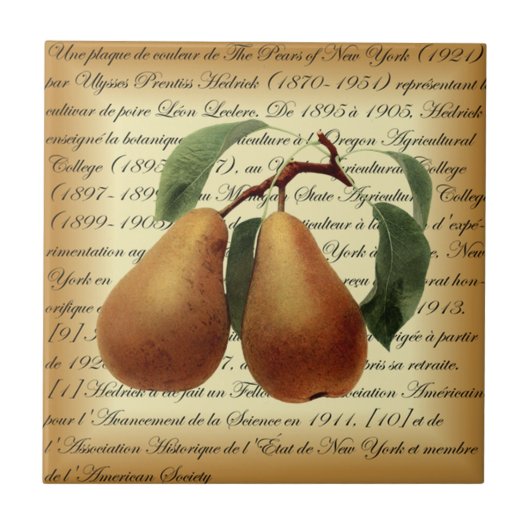 Bosc Pears～レオンレクレール～ユリシーズ・プレントス・ヘドリック～ タイル (正面)