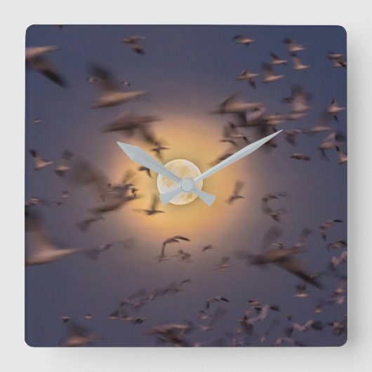Bosque del Apache National Wildlife Refuge スクエア壁時計 (正面)