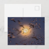 Bosque del Apache National Wildlife Refuge ポストカード (正面/裏面)