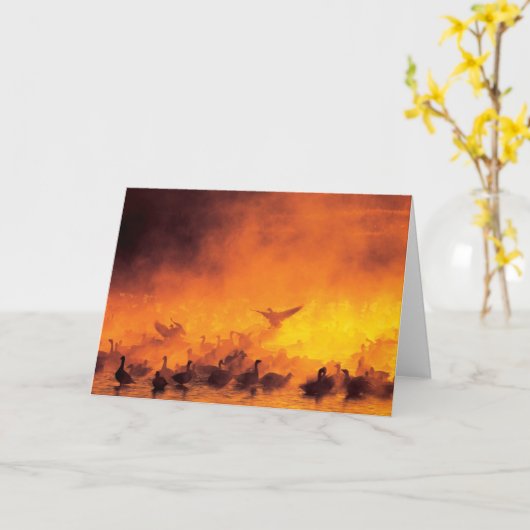 Bosque del Apache National Wildlife Refuge, NM カード (黄色い花)