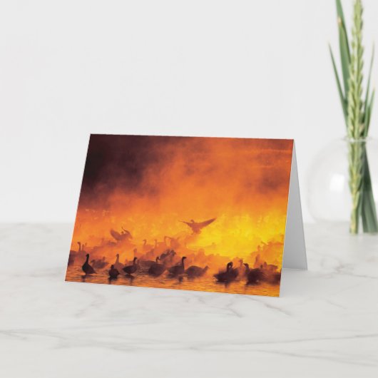 Bosque del Apache National Wildlife Refuge, NM カード (正面)